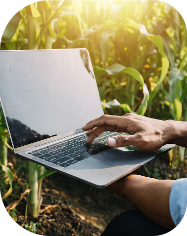 Produtor rural analisando fluxo de caixa com apoio da Campo BPO