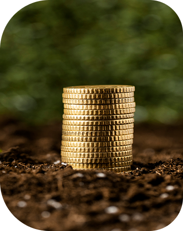 Imagem de uma planilha de fluxo de caixa simplificado para fazendas